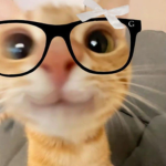nYaN cAtS eVaDe GrOuP