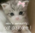 {~cat daycare~}
