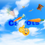 Mrcarrotstudio