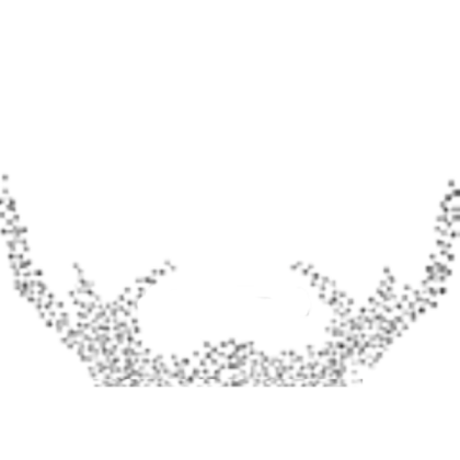 Shaved Beard Face Roblox decal