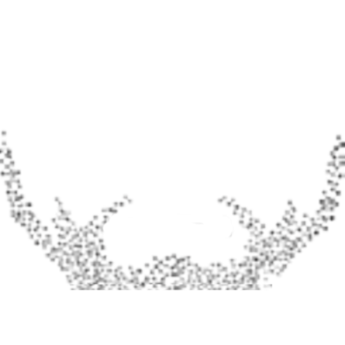 Shaved Beard Face Roblox decal