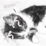 neewo' UGC Group Thumbnail