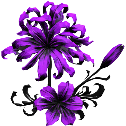 ヒガンバナ bright purple spider lily hair flo