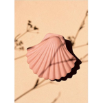 ~|| Seashell Squad ||~