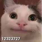 Kitty$ clan