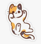 Tani…