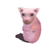 Bingik