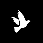 Avian Development