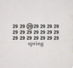 spring 2009
