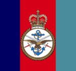 British Security Forces | BSF