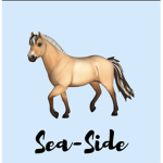 Sea-Side Stables