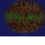 robrhys group
