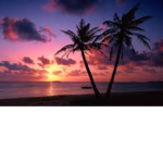 Sof’s sunshine Boutique ~