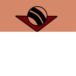 SS Official donate