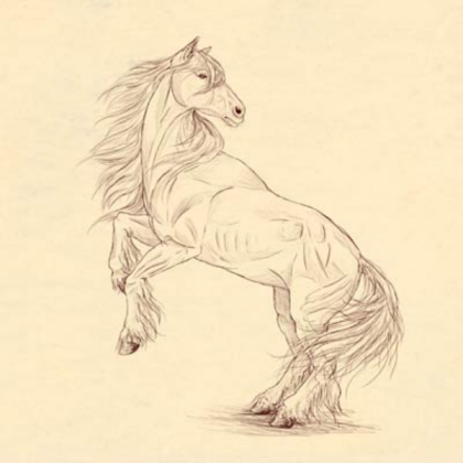 Old Drawing Horse Roblox decal