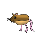 Find the Jerboa group