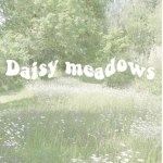 ~•daisy meadows•~