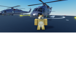 USS Doge