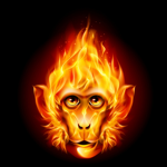 Monkeyfire