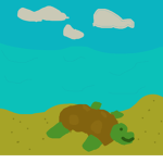 We like turtles OFFICIAL