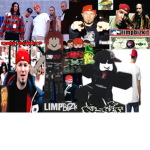 bizkit bumpers