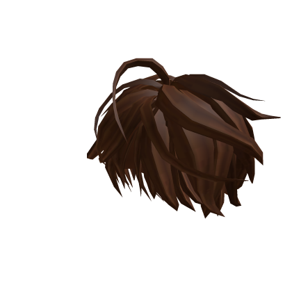 Brown Messy Fluffy Hair Roblox item