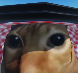 cart ride into sheikh al-meow