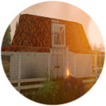 Welcome To TWD RP!