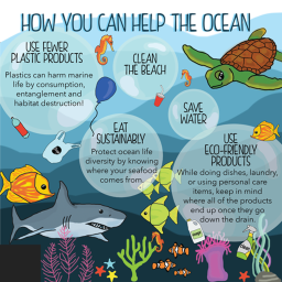 The Great Pacific Garbage Patch