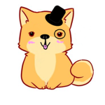 *Shiba Inu Fan Club*