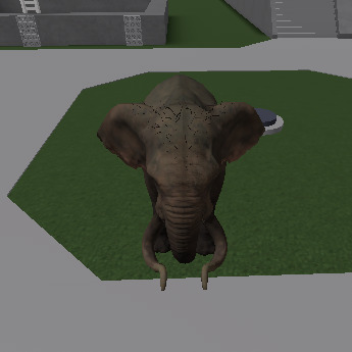 Elephants physics