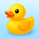 hi duck