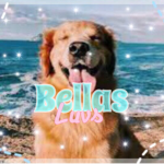 -Bella’s luvs-