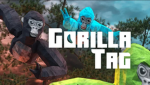 Gtag vr