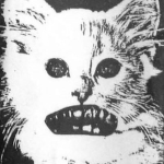 scratchpost