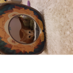 fren are cool