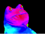 MLG Fr0gs crew