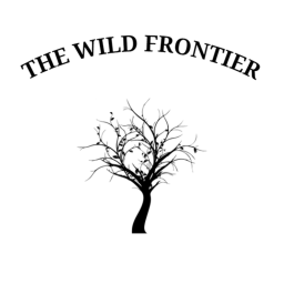 The Wild Frontier | Beta