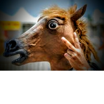 Gang dos cavalo