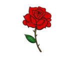 Roses Squad!