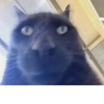 Shadowz sqad;)