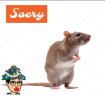 Rathoggotcofizgivkv
