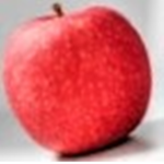 fruit oyun yt
