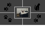 Cult of Boots