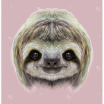KK’s Sloth’s!