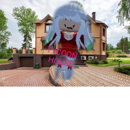 tycoon house