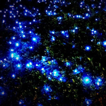 The Malevolent Cliff