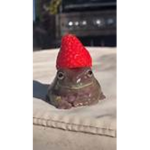 THE FROGGIES :) :)