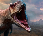 DINO GROUP__