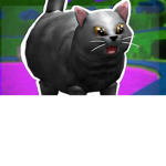 Cats and kittens Y'ALL
